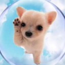 ✶ `🌍 Aero Lounge 🫧 : * Discord server icon