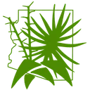 The Arizona Native Plant Society - Phoenix Chapter
