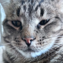 𝐏𝐑𝐈𝐍𝐓𝐇𝐔𝐁3𝐃 Discord server icon