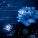 Ronu Discord server icon