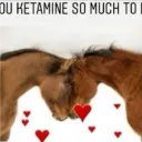 "gey" alternative discord icon