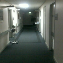 Allicastor Research Institute Discord server icon