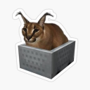 Floppa SMP Discord server icon