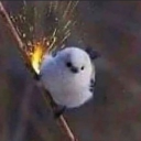 left side proj Discord server icon