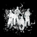 The Evergreen Collective Discord server icon