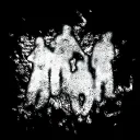 The Evergreen Collective