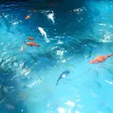 . ౿   oceanic ─ .✦