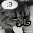 WOMENPHOBIA discord icon