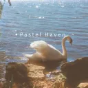꒰ 🌷 ꒱ Pastel Haven