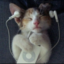 bpm | collective Discord server icon