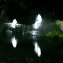 Everglades 18+ Discord server icon