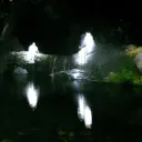 Everglades 18+