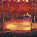 ✮ carnivals ✮