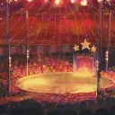 ✮ carnivals ✮