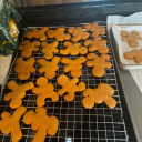 Goon squad Discord server icon