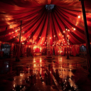 the circus 🎪 Discord server icon