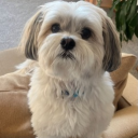 Sugardaddy's server Discord server icon