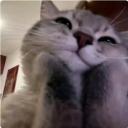 miau