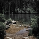 ❡ Oso Laik Wonkru ⸝⸝ 🌻 Discord server icon