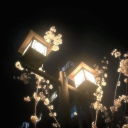 𝓐𝓻𝓪𝔀𝓷𝓲𝓪 Discord server icon