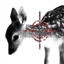 fawn ⌖ Discord server icon