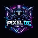 GUILD PIXEL DC - NEW ERA 👑