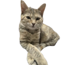 God's Wasted Productions