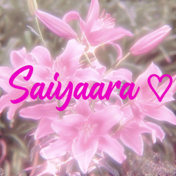 Discovery icon for Ûļā§ Saiyaara đđ | Chilling And Gaming Discord server