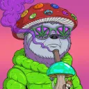 Every Time High
