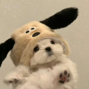 creative clouds Discord server icon