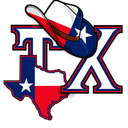 Discovery icon for Texas State Roleplay I VC Only Discord server