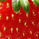 🍓𓂃 /sachacel﹑𝜗𝜚