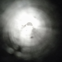 XENOX DJX A R E A Discord server icon