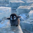 ⤷ 𝕿𝖍𝖊 𝖐𝖍𝖆𝖓𝖓𝖎 𝖑𝖔𝖚𝖓𝖌𝖊 ˎˊ˗ Discord server icon