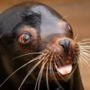 Gamers of WA Discord server icon