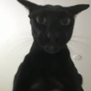 Silly goobers Discord server icon