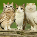 Game development Discord server icon