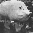 Trvly Based 3.0 Discord server icon