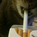 WHORZZZ Discord server icon