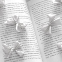 ˗ˏˋ ꒰ vellum ꒱ ˎˊ˗