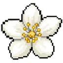 Lust Capsule discord icon