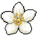 Lust Capsule discord icon