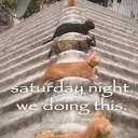 cocoa's castle or something Discord server icon