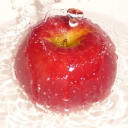 𝒞 ͜         HIATUS - The Orchid｡     ₊    🍎 Discord server icon