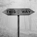 𝐑𝐀𝐁𝐁𝐈𝐓 𝐇𝐎𝐋𝐄⎯   𝐑𝐏