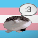 Trans Hotel Discord server icon