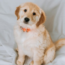 Sugardaddy's server Discord server icon