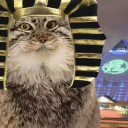 Bass Pro Pyramid Discord server icon