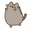 The Tiny Pusheen Cult ౨ৎ ˖ ࣪⊹