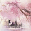 ╭ Sakura 🌸 scl . dcr . stox . sfw Discord server icon